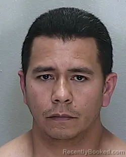 Mugshot of DANILO JOSE CASTELLANO PICONE booked in Marion County, Florida on May 12, 2026