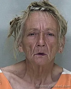 Mugshot of DEBRA LYNN YOUNG booked in Marion County, Florida on May 14, 2026