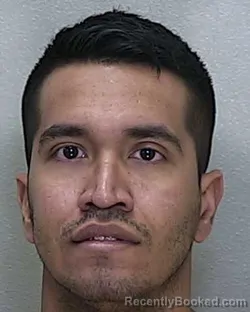 Mugshot of FRANCISCO JAVIER LOSADA AVILES booked in Marion County, Florida on May 15, 2026