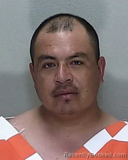 Mugshot of SANTOS TORRES FERNANDEZ booked in Marion County, Florida on June 4, 2026
