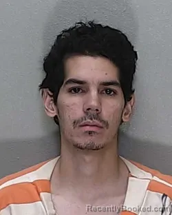 Mugshot of GUSTAVO JOSUE GONZALEZ DE LA TORRE booked in Marion County, Florida on June 9, 2026