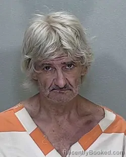 Mugshot of GEORGE STANLEY TRAVIS booked in Marion County, Florida on June 11, 2026