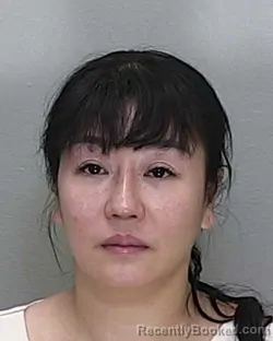 Mugshot of YAN DENG booked in Marion County, Florida on June 11, 2026