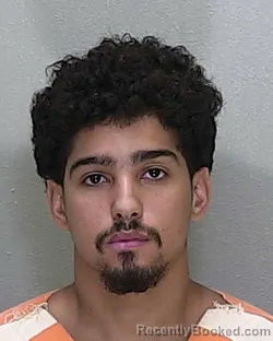 Mugshot of GABRIEL RAILIE GOMEZ booked in Marion County, Florida on June 15, 2026
