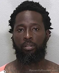 Mugshot of ROBERT ALLEN WEBB JR booked in Marion County, Florida on June 15, 2026