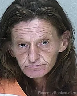 Mugshot of NICOLE MARIE ALLISON booked in Marion County, Florida on June 15, 2026