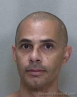 Mugshot of EVERETTE MICHAEL ADAMS booked in Marion County, Florida on June 16, 2026