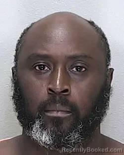 Mugshot of WILVY MAZILE booked in Marion County, Florida on June 16, 2026