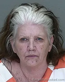 Mugshot of JACQUELINE MARIE HOLDEN booked in Marion County, Florida on June 18, 2026
