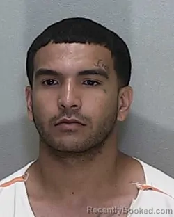 Mugshot of ROBERT MALACHI TORRES booked in Marion County, Florida on June 19, 2026