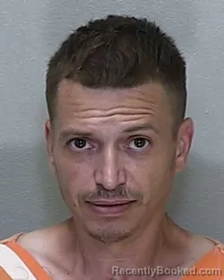 Mugshot of JEREMY STUART MARSICANO booked in Marion County, Florida on June 19, 2026