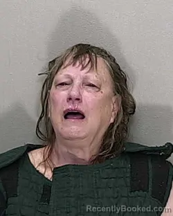 Mugshot of DEBRA RHOADS BLACKFORD booked in Marion County, Florida on June 19, 2026