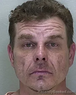 Mugshot of DAVID STENGER booked in Marion County, Florida on June 20, 2026