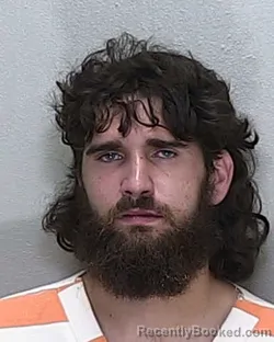 Mugshot of MATTHEW JAMES WISE booked in Marion County, Florida on June 20, 2026