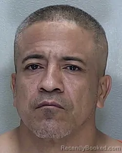Mugshot of FRANCISCO CALVILLO JR booked in Marion County, Florida on June 21, 2026