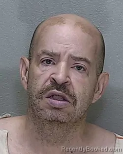 Mugshot of CARLOS L VASSALLO booked in Marion County, Florida on June 22, 2026