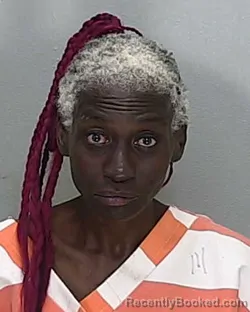 Mugshot of DIONNE SHARNETTA JOHNSON booked in Marion County, Florida on June 23, 2026