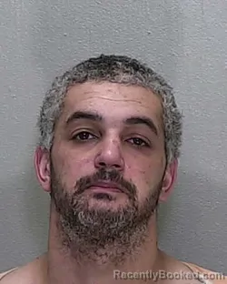 Mugshot of WILLIAM ALBERT PEIRANO booked in Marion County, Florida on June 23, 2026