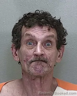 Mugshot of ROY LEE GOINS booked in Marion County, Florida on June 24, 2026