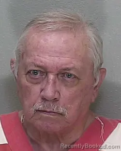 Mugshot of GEORGE LOVELESS booked in Marion County, Florida on June 24, 2026