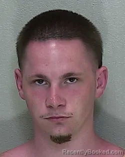 Mugshot of JOSHUA MICHAEL COLLIER booked in Marion County, Florida on June 24, 2026