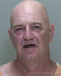 Mugshot of VINCENT P ZAFONTE booked in Marion County, Florida on June 25, 2026