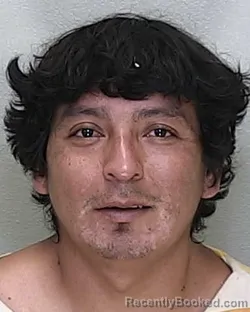 Mugshot of EDGAR AUDELY VELAZQUEZ AGUILAR booked in Marion County, Florida on June 25, 2026