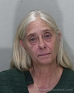 Mugshot of BRENDA LEE VIERLING booked in Marion County, Florida on June 27, 2026