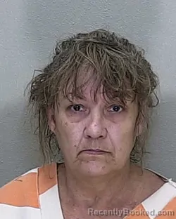 Mugshot of KAREN DENISE LEWIS booked in Marion County, Florida on June 28, 2026
