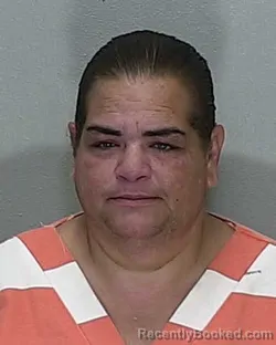 Mugshot of JASMIN TERESA DELGADO-TORRES booked in Marion County, Florida on July 1, 2026