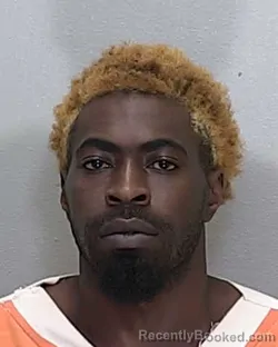 Mugshot of GREGORY FITZGERALD RICHARDSON booked in Marion County, Florida on July 2, 2026