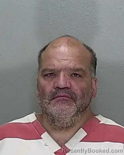 Mugshot of LANCE ELLIS ELANE booked in Marion County, Florida on July 15, 2026