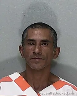 Mugshot of JUNIOR BENEDICTO FRANKLIN BONILLA booked in Marion County, Florida on July 15, 2026
