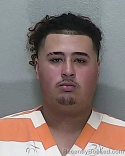 Mugshot of ALEXIS D FELICIANO MELENDEZ booked in Marion County, Florida on July 22, 2026