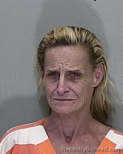 Mugshot of Diana Sue Pardo