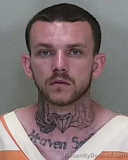 Mugshot of Timothy John Minniti