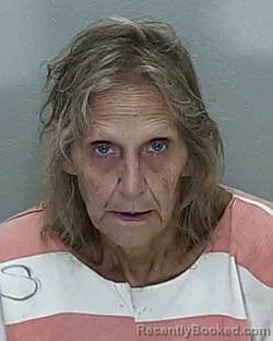 Mugshot of Karen Lee Adams booked in Marion County, Florida on July 27, 2026