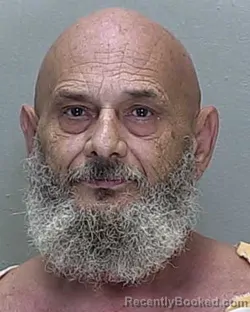 Mugshot of Hadley Dane Lewis booked in Marion County, Florida on July 28, 2026
