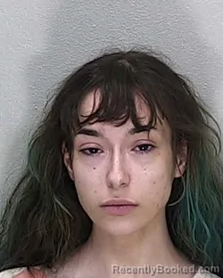 Mugshot of Raeanne Jo Hernandez booked in Marion County, Florida on July 31, 2026