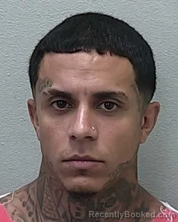 Mugshot of Luis Francisco Aviles booked in Marion County, Florida on July 31, 2026
