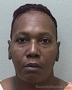 Mugshot of Pamela Katina Hamilton booked in Marion County, Florida on July 31, 2026