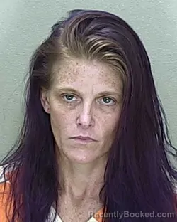 Mugshot of Heather Lynn Mcelrath booked in Marion County, Florida on July 31, 2026