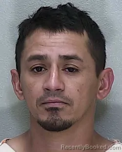 Mugshot of David Avidan Martinez-Cruz booked in Marion County, Florida on August 1, 2026