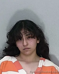 Mugshot of Jocelyn Luviano Bravo booked in Marion County, Florida on August 3, 2026