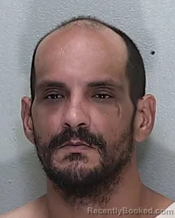 Mugshot of John Louis Davino booked in Marion County, Florida on August 3, 2026