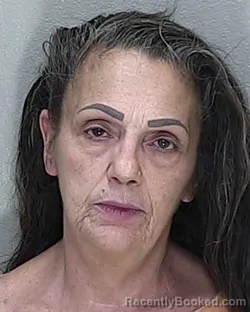 Mugshot of Diana Lynn Macgregor booked in Marion County, Florida on August 4, 2026