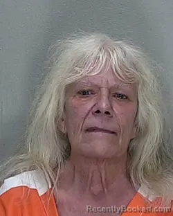 Mugshot of Susan Jean Lamkin booked in Marion County, Florida on August 5, 2026