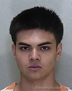 Mugshot of Jonah Robert Quinones booked in Marion County, Florida on August 6, 2026