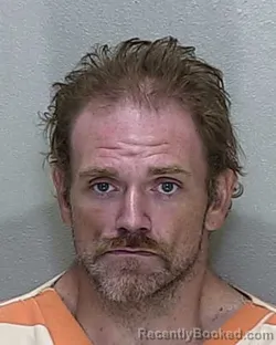 Mugshot of David E Shelton booked in Marion County, Florida on August 6, 2026