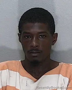 Mugshot of Wayne O'neal Johnson booked in Marion County, Florida on August 7, 2026